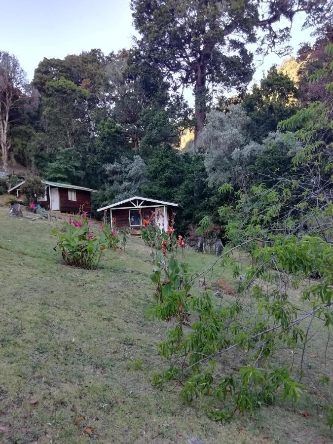 Miriam'S Quetzals Lodge San Gerardo de Dota Esterno foto