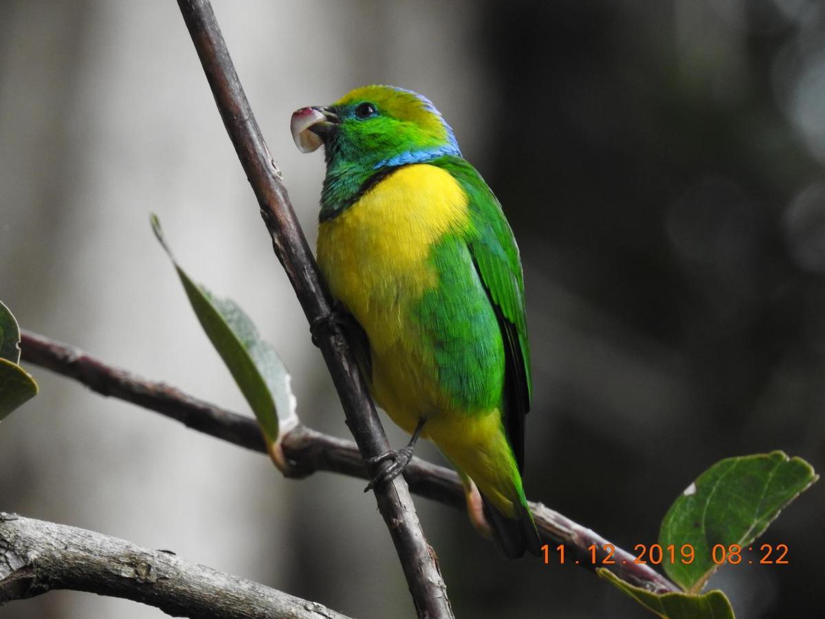 Miriam'S Quetzals Lodge San Gerardo de Dota Esterno foto