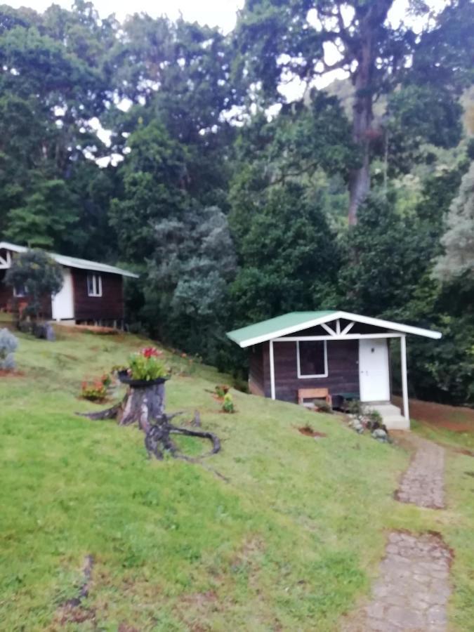 Miriam'S Quetzals Lodge San Gerardo de Dota Esterno foto