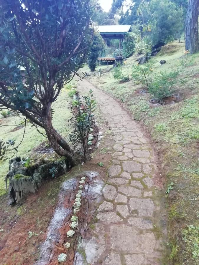Miriam'S Quetzals Lodge San Gerardo de Dota Esterno foto