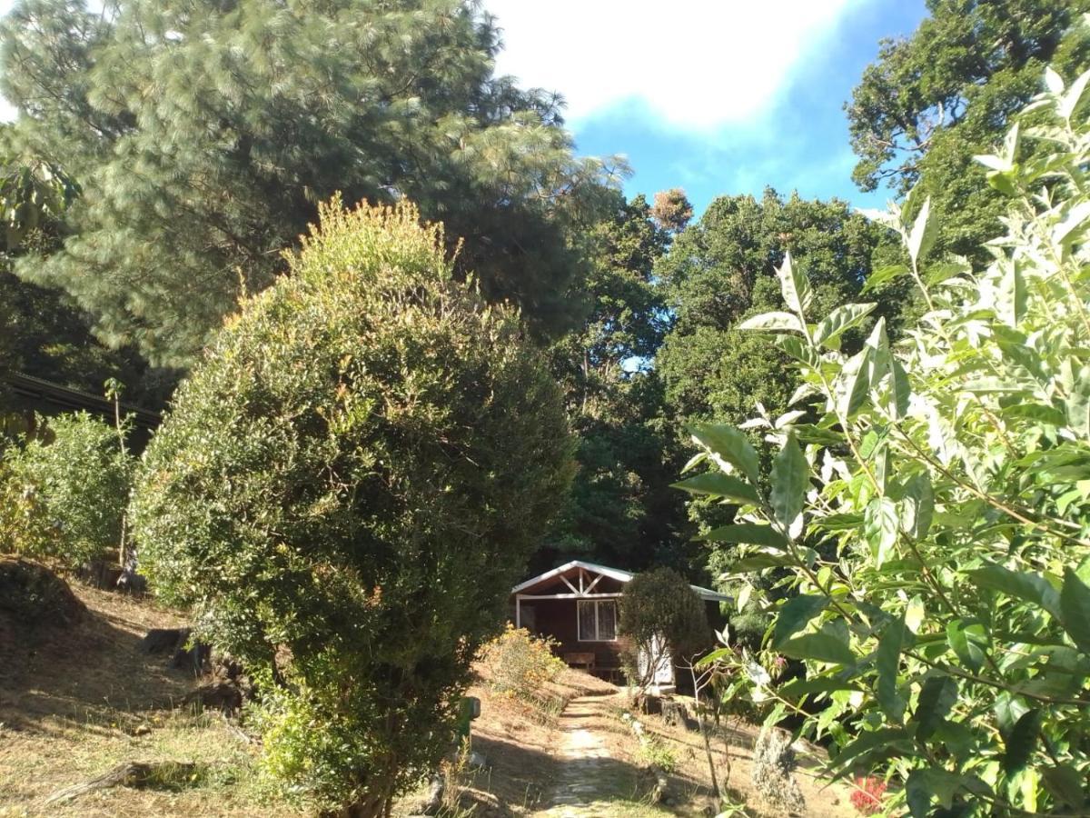 Miriam'S Quetzals Lodge San Gerardo de Dota Esterno foto