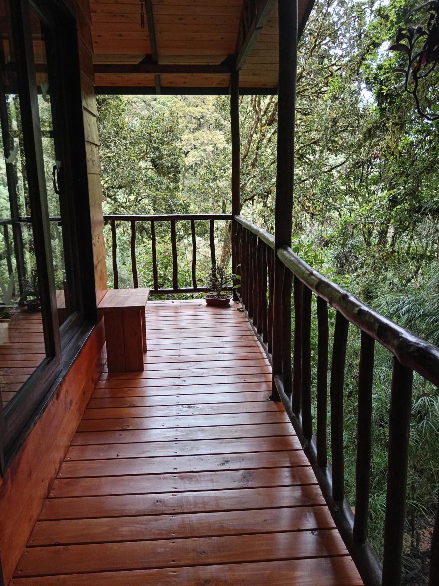 Miriam'S Quetzals Lodge San Gerardo de Dota Esterno foto