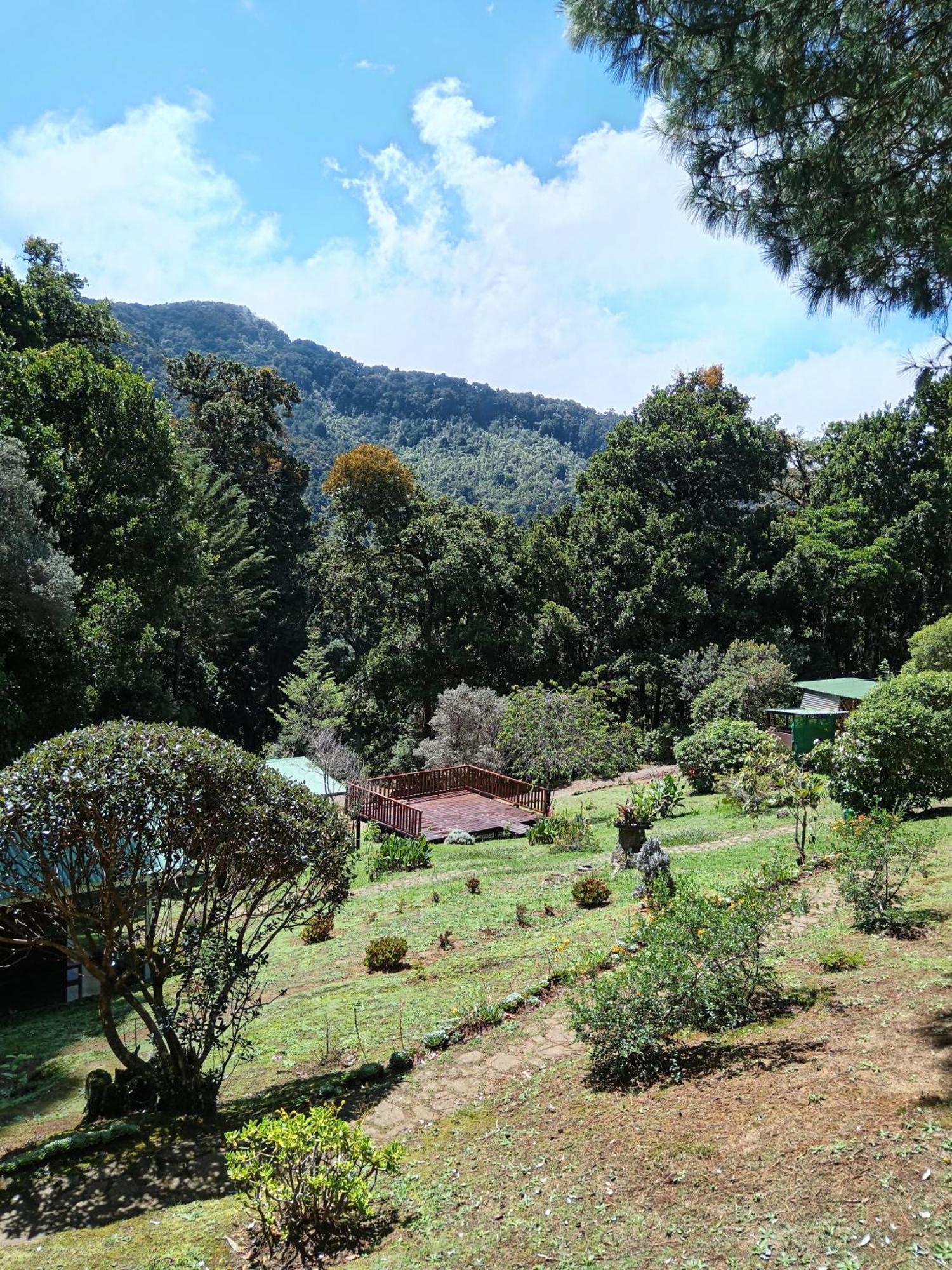 Miriam'S Quetzals Lodge San Gerardo de Dota Esterno foto