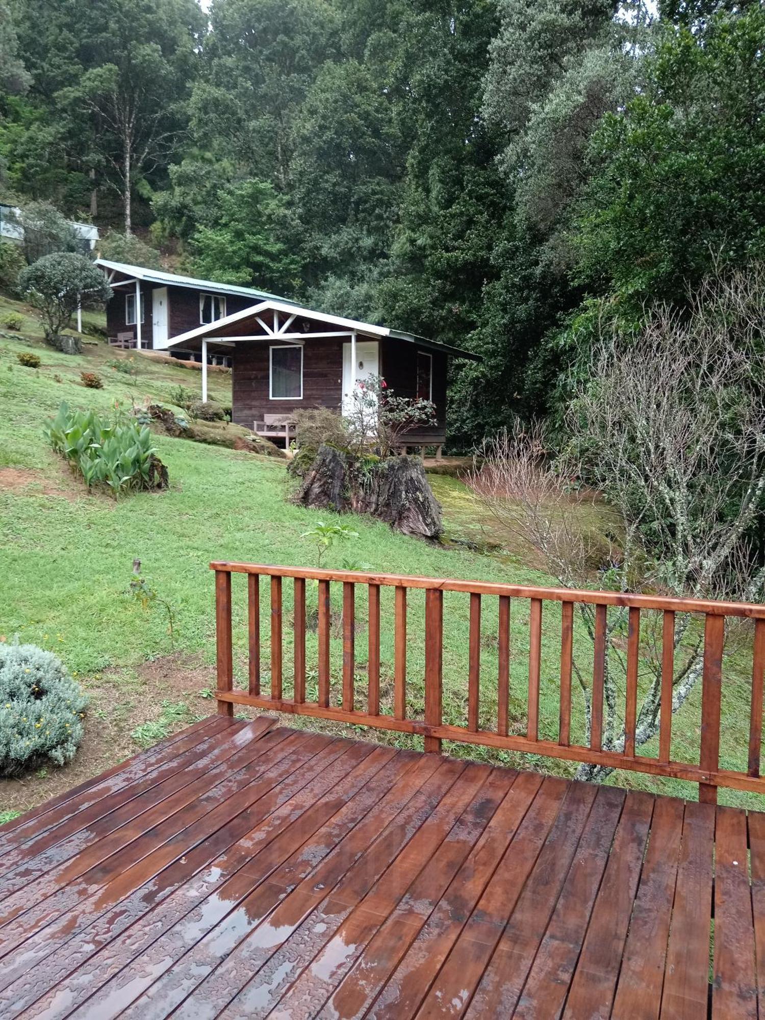 Miriam'S Quetzals Lodge San Gerardo de Dota Esterno foto