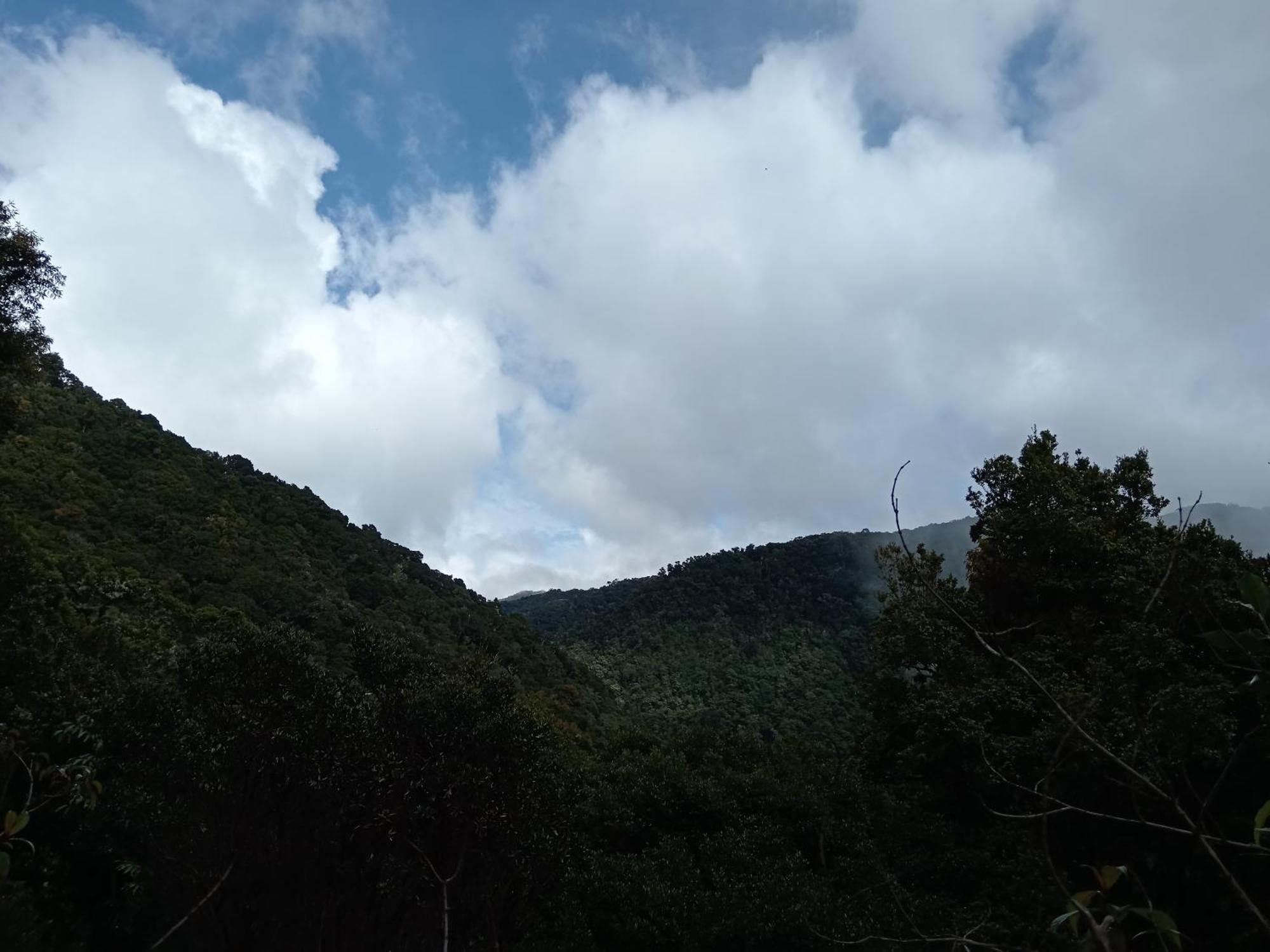 Miriam'S Quetzals Lodge San Gerardo de Dota Esterno foto