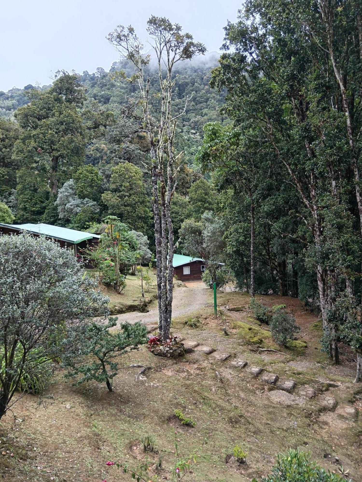 Miriam'S Quetzals Lodge San Gerardo de Dota Esterno foto