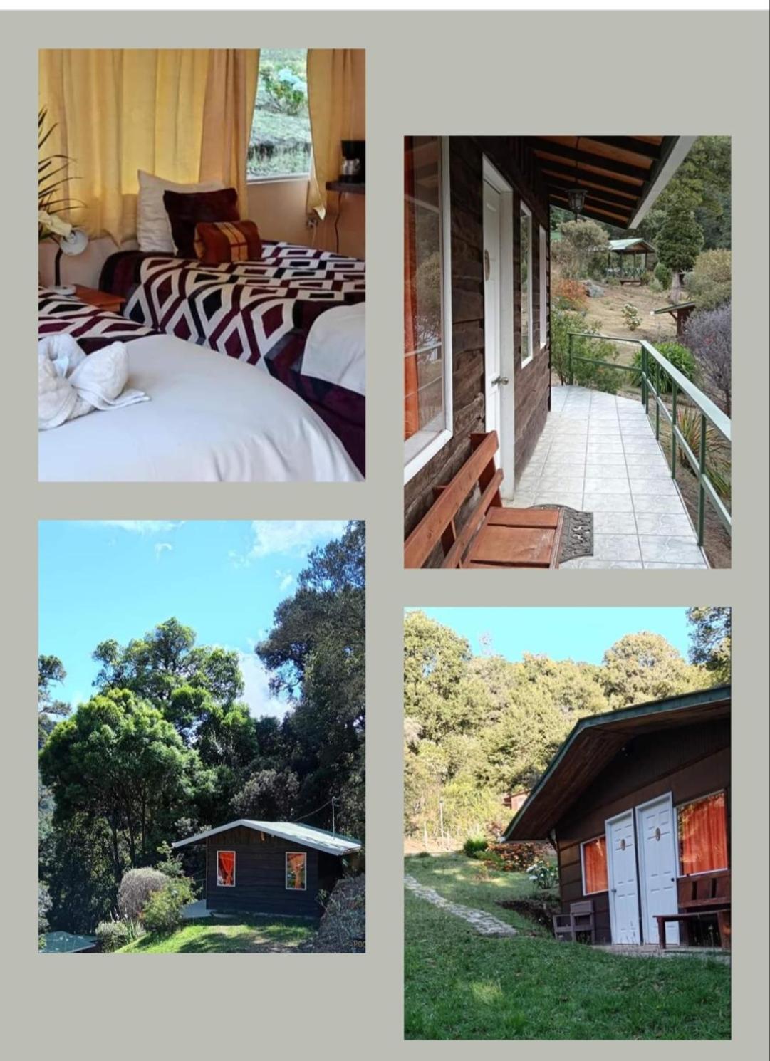 Miriam'S Quetzals Lodge San Gerardo de Dota Esterno foto