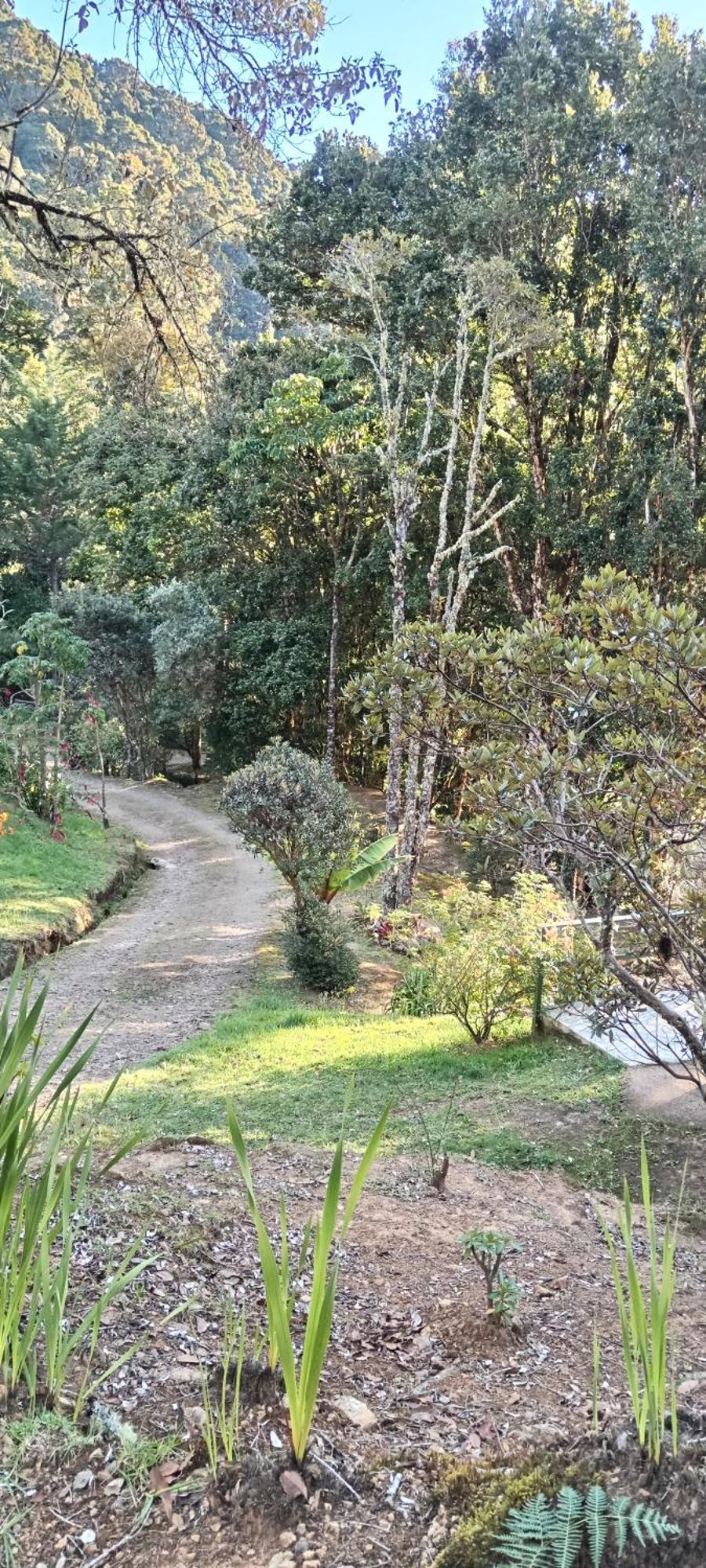 Miriam'S Quetzals Lodge San Gerardo de Dota Esterno foto