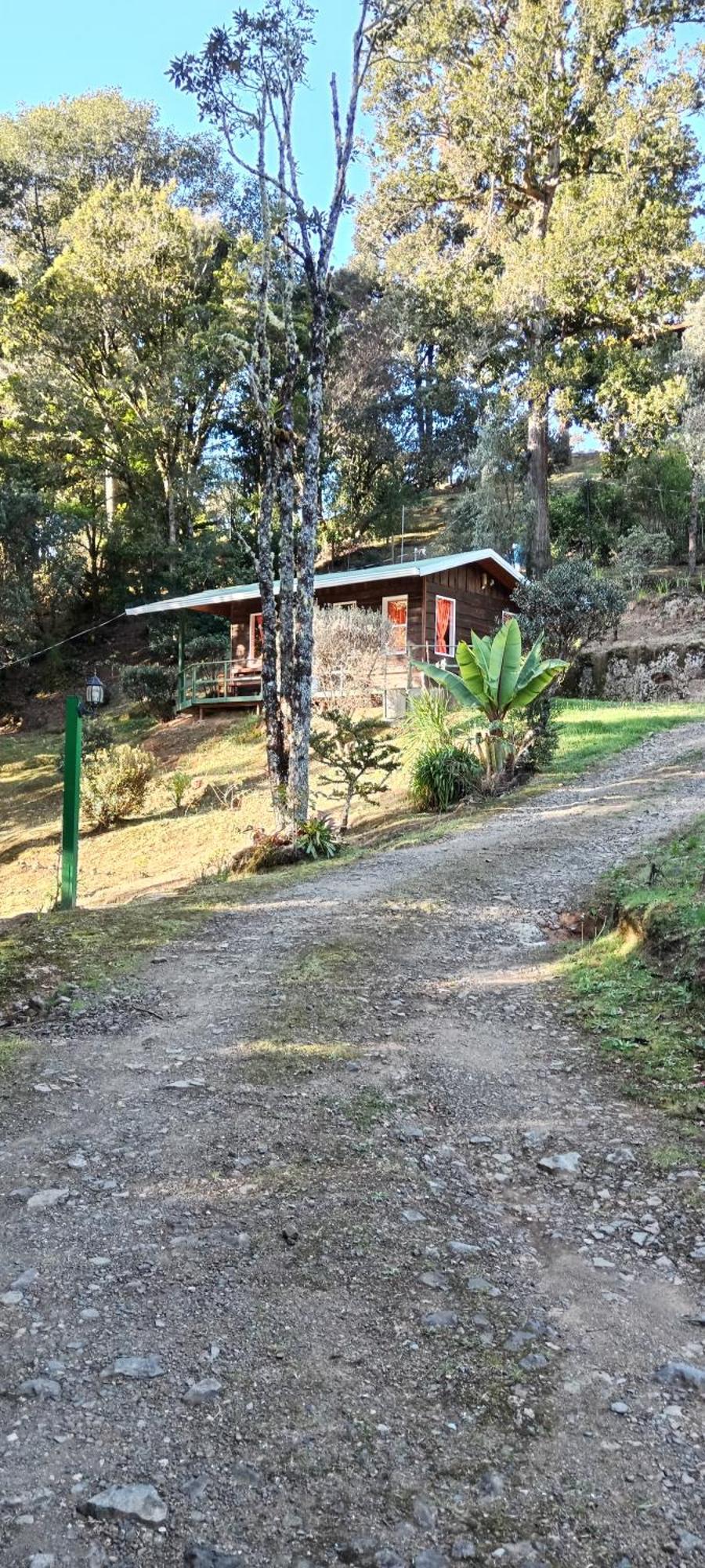Miriam'S Quetzals Lodge San Gerardo de Dota Esterno foto