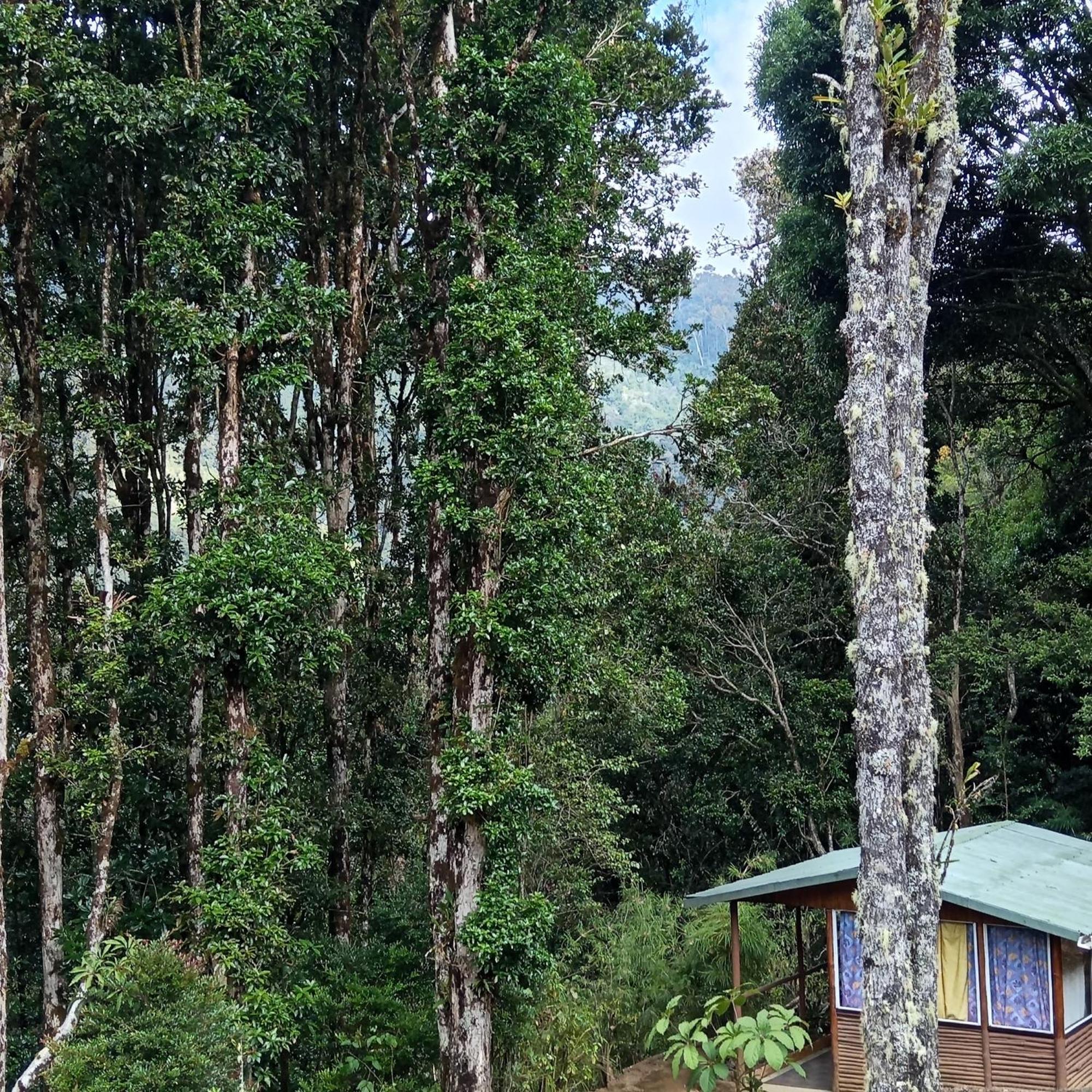 Miriam'S Quetzals Lodge San Gerardo de Dota Esterno foto