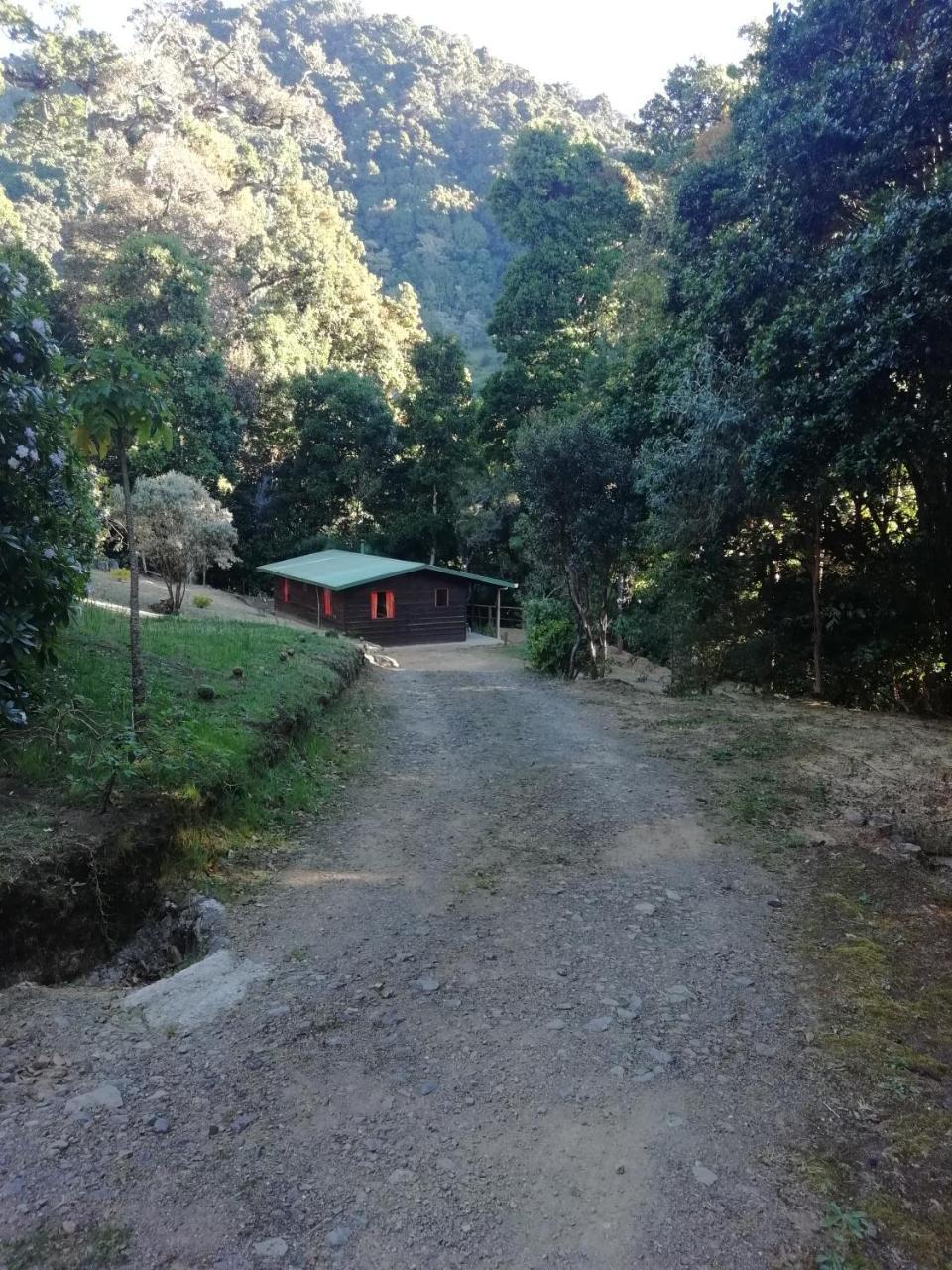 Miriam'S Quetzals Lodge San Gerardo de Dota Esterno foto